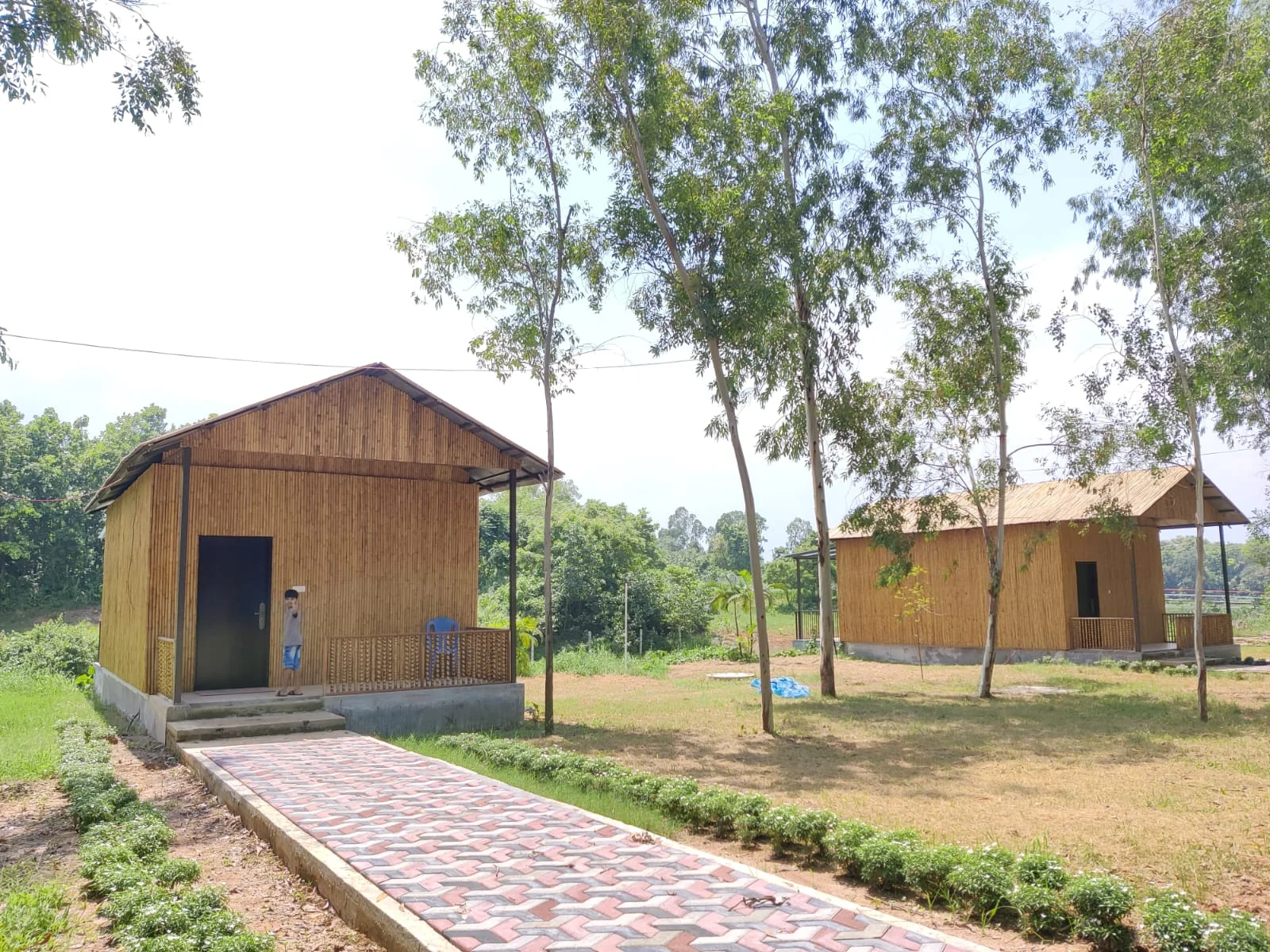 Bamboo cottages beside a paved garden path