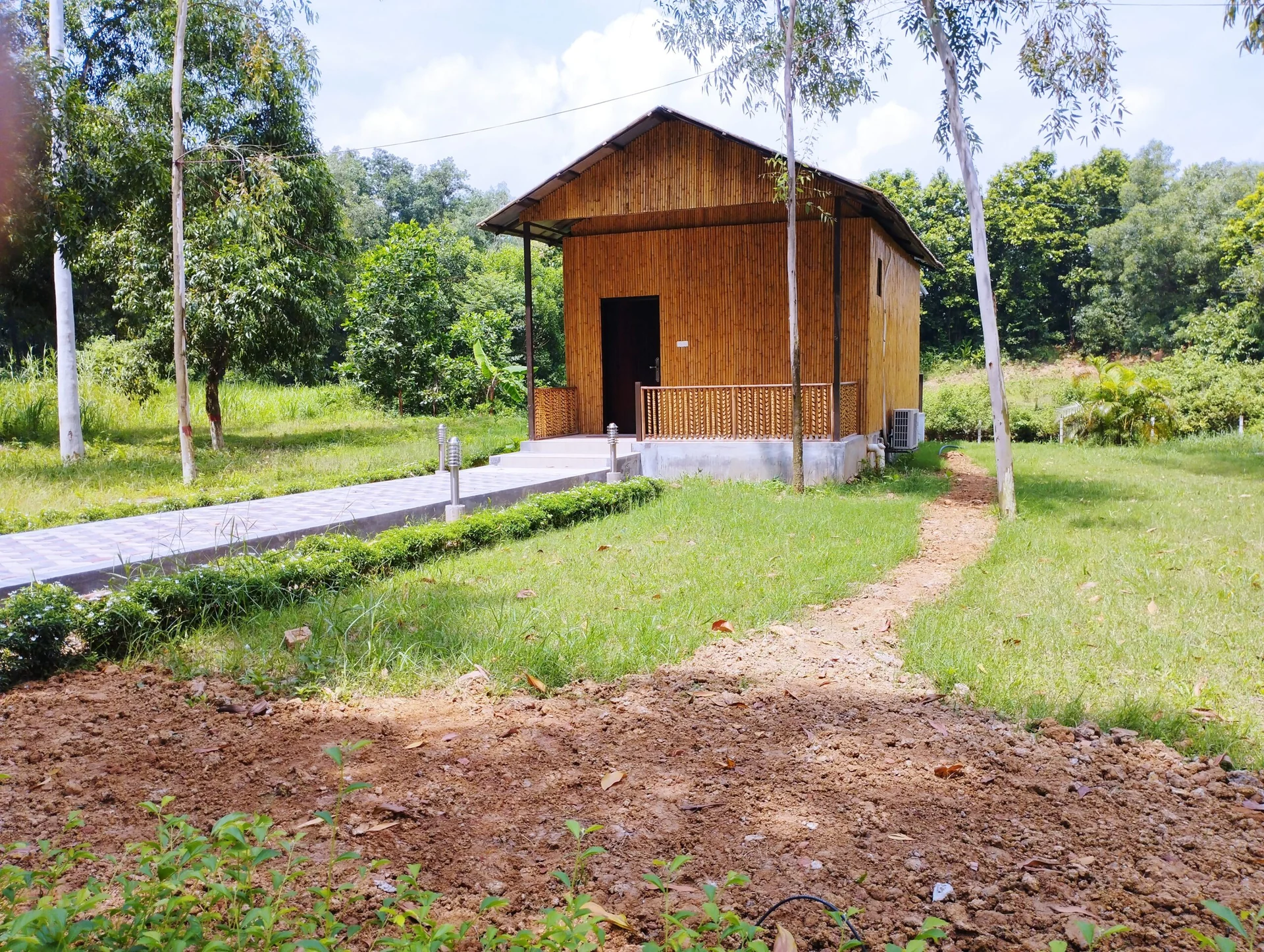 Psyche bamboo cottage among trees