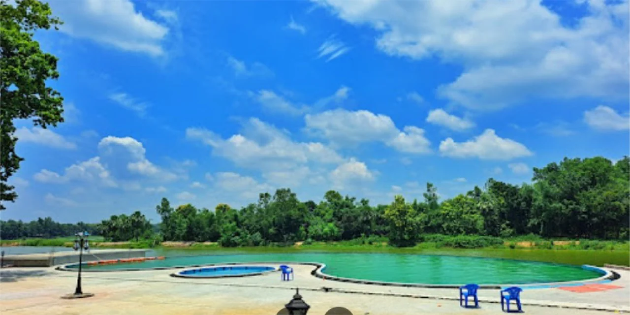 Swimming pool surrounded by greenery